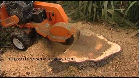 Stump Removal Fort Worth.