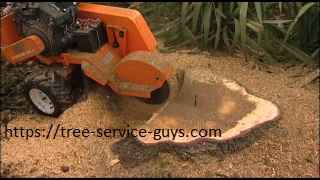 Stump removal Colleyville.